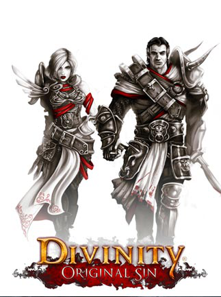 Divinity: Original Sin - Enhanced Edition Collector's Edition GOG.COM Key