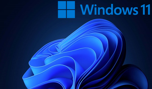Microsoft Windows 11 Pro N screenshot 1