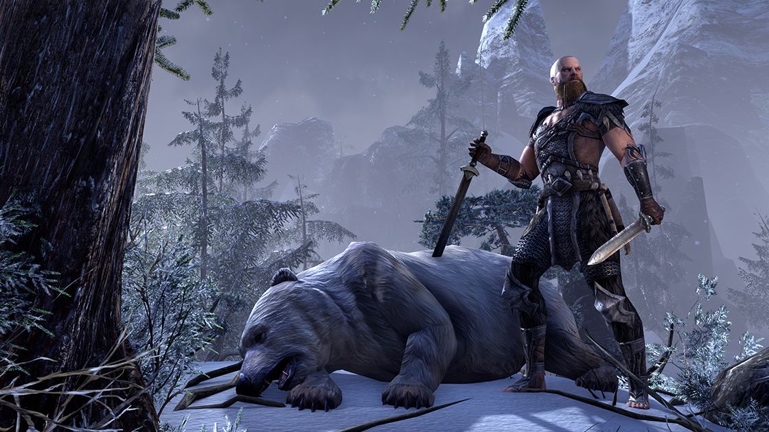 The Elder Scrolls Online captură 1