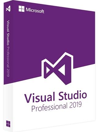 Microsoft Visual Studio 2019 Professional screenshot 1