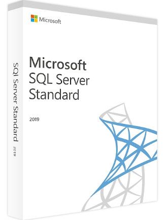 Microsoft SQL Server 2019 Standard (PC) - Microsoft