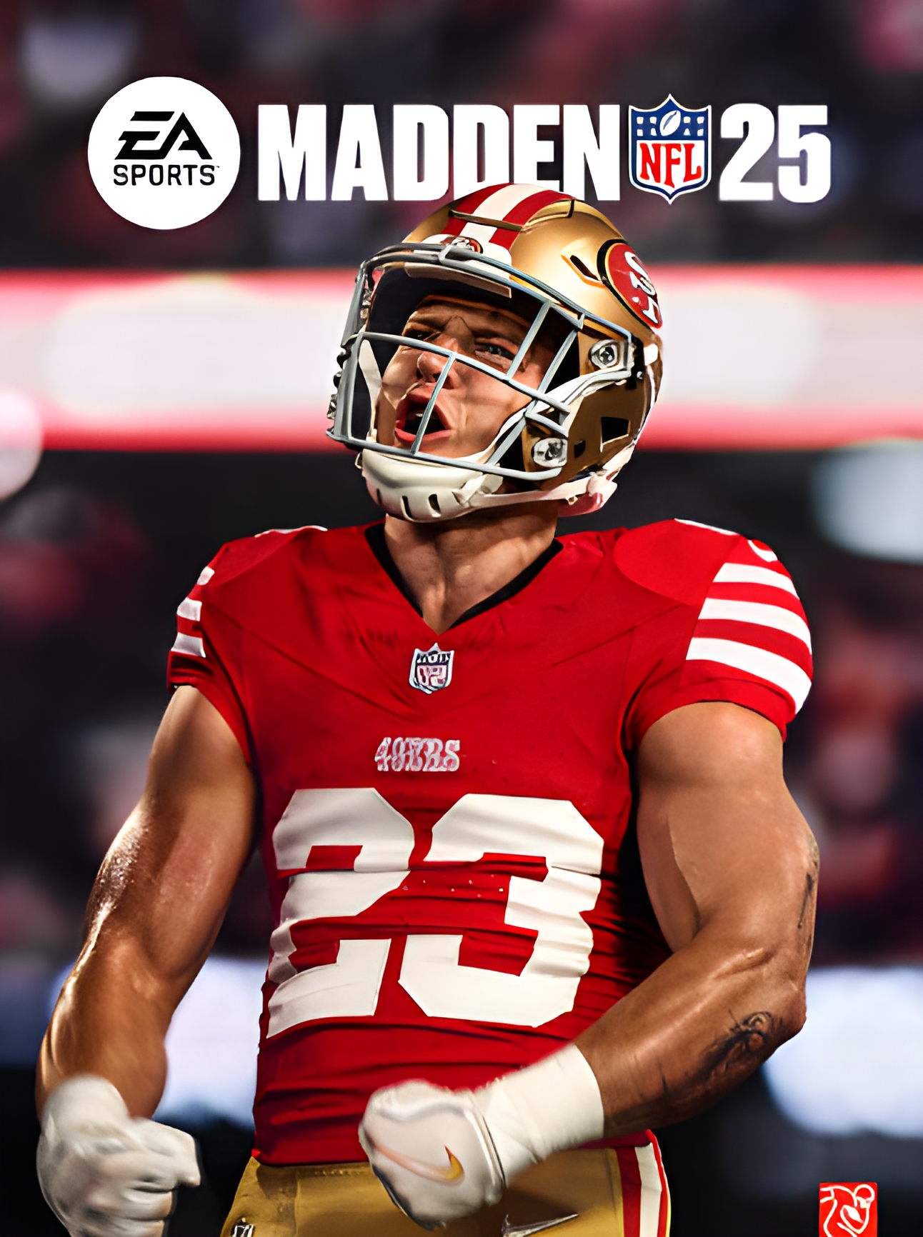 EA Sports Madden NFL 25 (PC)