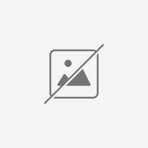 Girl Amazon Survival Steam Key GLOBAL