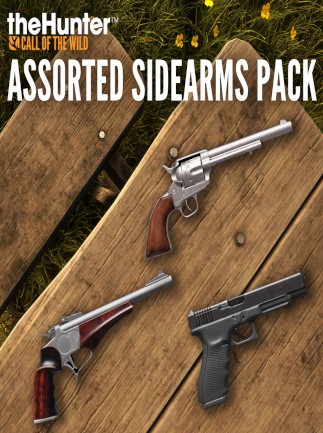 TheHunter: Call of the Wild - Assorted Sidearms Pack (PC)