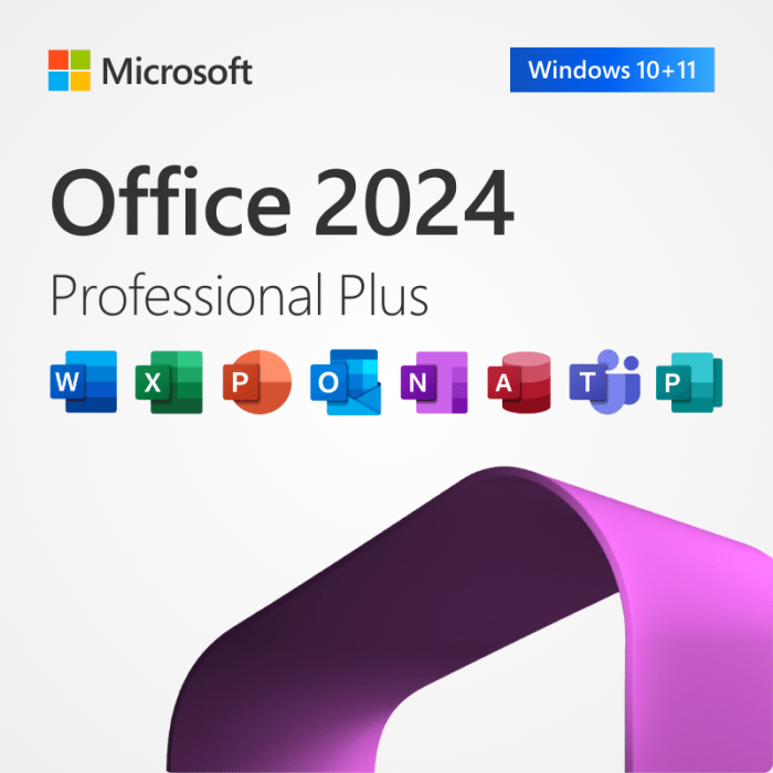 Microsoft Office 2024 Professional Plus Microsoft - Microsoft Store